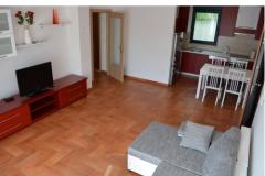 Apartmani Tara Apartman 1 – Apartman 1 foto 4