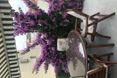 Apartmani Sara Baška Voda Apartman 1 – A5 foto 2
