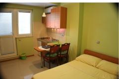 Asja Apartmani Apartman 2 – STUDIO AP foto 1