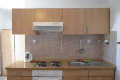 Ivana Apartmani Apartman 2: (4+0) – A4 A (P) foto 3