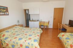 Vila Tonka Apartman 1 – Studio foto 5