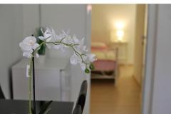 Apartmani Karin Apartman 3 – A-3 foto 4