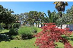 Dragan Apartmani Apartman 3 – apartman foto 1