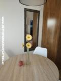 Kuća za odmor Roema Apartman 2: (2+1) – A studio foto 3
