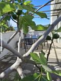 Villa D&amp;J Apartman 3 – D&J3 foto 2