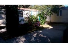 Apartmani Vranela Apartman 3 – MOBILEHOME foto 2