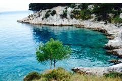 Apartmani Violeta Apartman 1 – Marijan foto 1