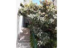 Apartmani A &amp; N Bekavac . Apartman 4 – A2+2 foto 5