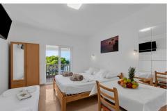 Pine Canopy Studios and Apartmani Apartman 1 – A1 foto 3