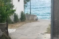Smještaj Julia Apartman 6 – Julia 6 foto 2