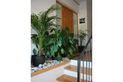 Apartmani Katarina Apartman 1 – Ap1 foto 1