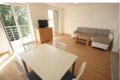 Apartmani Vila Katarina  Apartman 3 – Apartman 3 foto 2