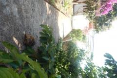 Apartmani Diana Apartman 1 – Apartman 1 foto 5