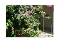 Apartmani Majica Apartman 2 – A6 foto 4