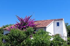 Kuća za odmor - Apartman Milka Apartman 1 – Kuća foto 2