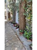 Apartmani Ela Apartman 2 – A1 foto 4
