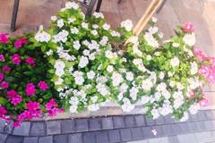 Apartmani Vesna Apartman 3 – A3 foto 4