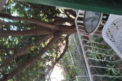 Dijana Beach Kuća Apartman 1: (1+1) – Villa Dija foto 5