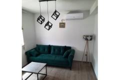 Apartmani Belić Nikola Apartman 1 – Apartman 4 foto 3