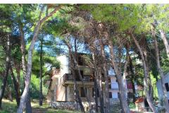 Apartmani Floris Ivan Dolac Apartman 3 – 9 guests foto 4