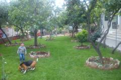 Jadranka Franičević Apartman 2: (3+1) – apartman foto 2
