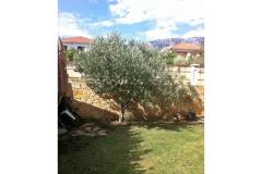 Apartmani Vito Apartman 1 – Bartul foto 2