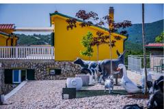 Luxury villa Cvita Apartman 1: (18+4) – VillaCvita foto 3