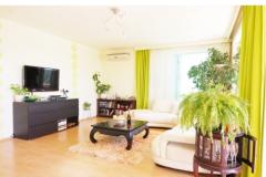 Split View Apartman 2 – Green Appt foto 2