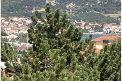 Apartmani Maričić Apartman 3 – Stella M 3 foto 5