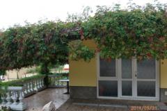 Apartmani Milica Apartman 1 – APARTMAN foto 4