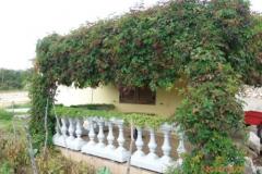 Apartmani Milica Apartman 1 – APARTMAN foto 5