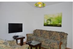 Apartmani Petković Apartman 4 – Apartman 4 foto 2