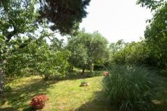 Sea Dream Apartman 1: (4+1) – Sea Dream foto 3