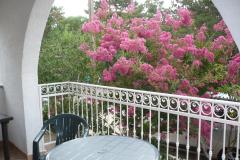 Apartmani Zana Apartman 3 – A3+1 foto 5