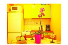 Apartmani Diana Apartman 4 – ap. 4 foto 1