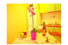 Apartmani Diana Apartman 4 – ap. 4 foto 2