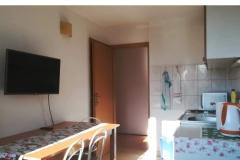 Apartmani and rooms Gojak Milenka Apartman 3 – ROOM 3AND4 foto 5