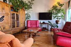 Apartmani Vinea Apartman 1 – Vinea A1 foto 3