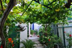 Apartmani Vinea Apartman 2 – Vinea A2 foto 2