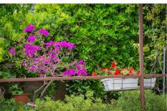 Apartmani Daniela Makarska Apartman 1 – Apartman 1 foto 3