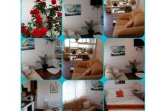 Villa Apartmani Sumić Apartman 1: (2+3) – GREEN OASE foto 4