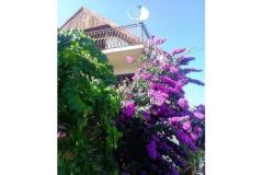 Kuća Marino Apartman 1 – marino foto 2
