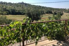 Dolac Vulića Apartman 1 – Apartman foto 1