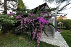 Flowers Apartman Medulin, Fucane 2 Apartman 1 – Bugenvilia foto 2
