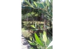 Apartmani Vera Apartman 2 – apartman foto 4