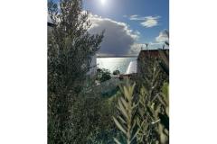 Apartmani Renata Apartman 1 – Apartman-1 foto 3