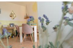 Apartman Bonzo Novalja Apartman 1 – BONZO foto 4