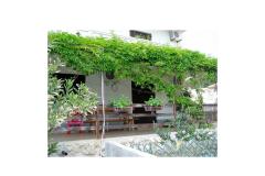 Apartman Lucija Apartman 1 – Prizem foto 4
