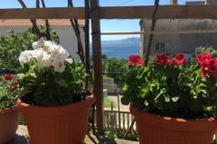 Apartmani Marijana Apartman 3 foto 1
