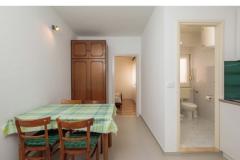 Pansion Radoslav Apartman 3 – A3 foto 5
